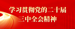 學習貫徹黨的二十屆三中全會精神
